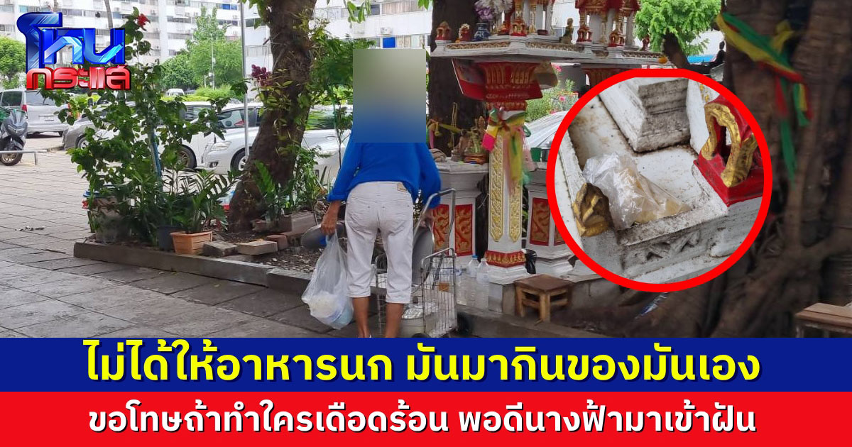 ป้าให้อาหารนก ขอโทษถ้าทำใครเดือดร้อน แค่เอาข้าวมาวาง นก-หนูมันมากินของมันเอง นางฟ้ามาเข้าฝัน ขอให้เอาอาหารมาถวาย เลยทำมา 4 ปีแล้ว