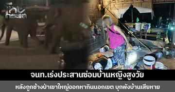 จนท.เร่งประสานซ่อมบ้านหญิงสูงวัย หลังถูกช้างป่าเขาใหญ่ออกหากินนอกเขต บุกพังบ้านเสียหาย