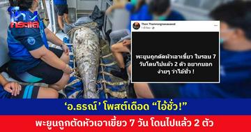 'อ.ธรณ์' โพสต์เดือด "ไอ้ชั่ว!" พะยูนถูกตัดหัวเอาเขี้ยว 7 วัน โดนไปแล้ว 2 ตัว