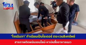 ‘โจรนินจา’ ทำเนียนเป็นไรเดอร์ ตระเวนชิงทรัพย์ สารภาพติดพนันออนไลน์-หาเงินซื้ออาหารแมว