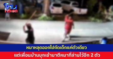เจ้าของหมาแจ้งความเพื่อนบ้าน บุกเข้ามาตีหมาอีก 2 ตัว ทั้งที่หลุดออกไปกัดเด็กแค่ตัวเดียว 