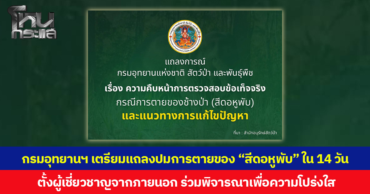 กรมอุทยานฯ เตรียมแถลงปมการตายของ “สีดอหูพับ” ใน 14 วัน ตั้งผู้เชี่ยวชาญจากภายนอก ร่วมพิจารณาเพื่อความโปร่งใส