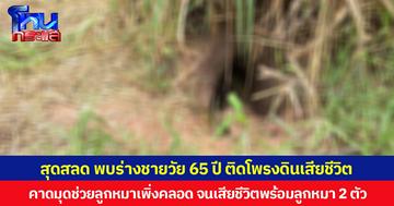 สุดสลด พบร่างชายวัย 65 ปี ติดโพรงดินเสียชีวิต คาดมุดช่วยลูกหมาเพิ่งคลอด จนเสียชีวิตพร้อมลูกหมา 2 ตัว