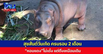 สุขสันต์วันเกิด ครบรอบ 2 เดือน “หอมแดง” ไม่เด้ง แต่ตึงเหมือนเดิม