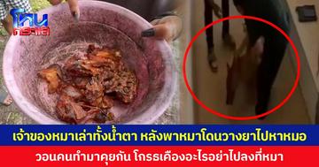 เจ้าของหมาเล่าทั้งน้ำตา หลังพาหมาโดนวางยาไปหาหมอ วอนคนทำมาคุยกัน โกรธเคืองอะไรอย่าไปลงที่หมา