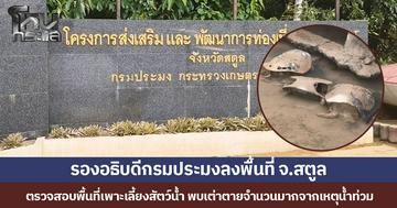 รองอธิบดีกรมประมงลงพื้นที่ จ.สตูล ตรวจสอบพื้นที่เพาะเลี้ยงสัตว์น้ำ พบเต่าตายจำนวนมากจากเหตุน้ำท่วม
