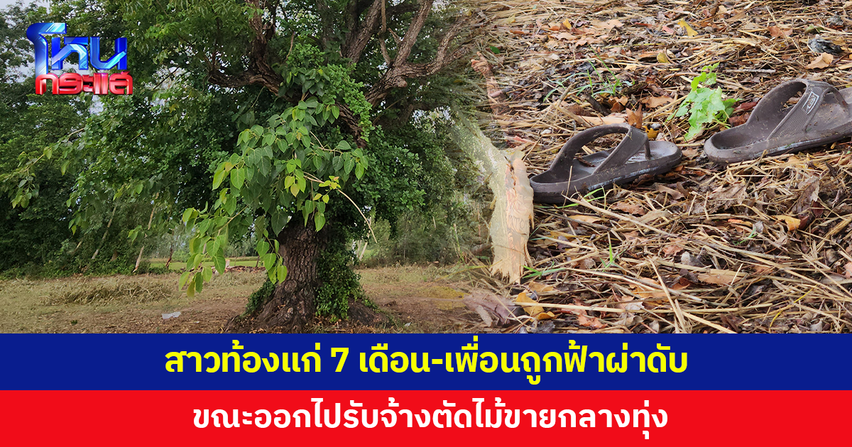 สาวท้องแก่ 7 เดือน-เพื่อนถูกฟ้าผ่าดับ ขณะออกไปรับจ้างตัดไม้ขาย