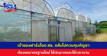 เจ้าของฟาร์มโอด สธ. กลับไปควบคุมกัญชา ต้องขอมาตรฐานใหม่ ใช้เงินมากและใช้เวลานาน เอื้อทุนใหญ่ กระทบรายย่อย