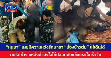 “หนูนา” เผยมีความหวังรักษาขา “น้องข้าวต้ม” ให้เดินได้  คนรักช้าง แห่ส่งกำลังใจให้ปลอดภัยแข็งแรงในเร็ววัน