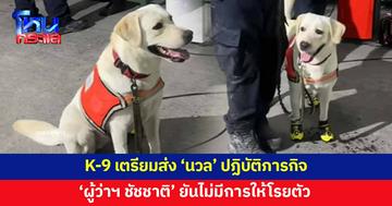 K-9 Usar เตรียมส่ง 'นวล' ปฏิบัติภารกิจ หลังตัวอื่นเริ่มเหนื่อยล้า - 'ผู้ว่าฯ ชัชชาติ' ยันไม่มีการโรยตัว