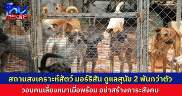 เปิดใจผัวเมียผู้ดูแลสถานสงเคราะห์สัตว์ “มอร์ริสัน” รับดูแลสุนัข 2,000 กว่าตัว ที่ถูกทิ้ง วอนทาสหมาเลี้ยงดูเมื่อพร้อม อย่าปล่อยทิ้งให้เป็นปัญหาสังคม
