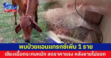 สธ.ยันพบป่วยแอนแทรกซ์เพิ่ม 1 ราย ด้านเขียงเนื้อมุกดาหารอ่วม ลดราคาเทขาย