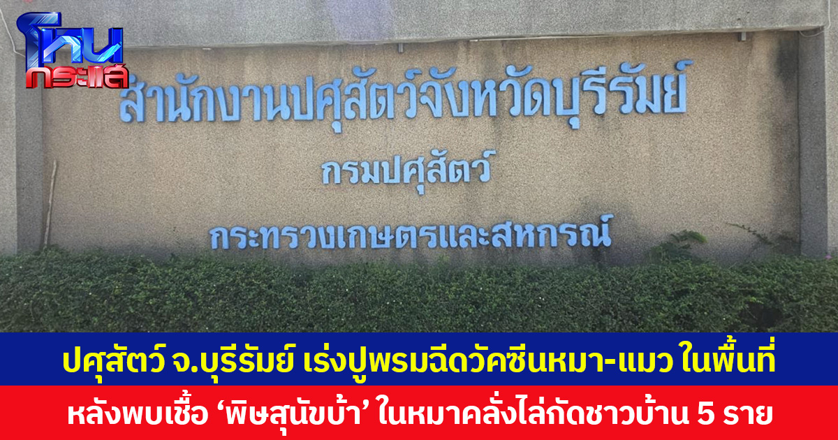 ปศุสัตว์ จ.บุรีรัมย์ เร่งปูพรมฉีดวัคซีนหมา-แมว ในพื้นที่ หลังพบเชื้อ ‘พิษสุนัขบ้า’ ในหมาคลั่งไล่กัดชาวบ้าน 5 ราย