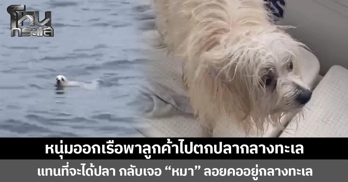 หนุ่มออกเรือพาลูกค้าไปตกปลากลางทะเล  แทนที่จะได้ปลา กลับเจอ “หมา” ลอยคออยู่กลางทะเล