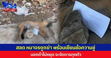 สลด หมาจรถูกฆ่า พร้อมเขียนข้อความขู่ บอกถ้าไม่หยุด จะจัดการทุกตัว