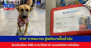 ‘ตาล’ จากหมาจร สู่พนักงานปั๊มน้ำมัน ตำแหน่ง หน่วยลาดตระเวน มีบัตรพนักงาน มีเงินเดือน แถมสวัสดิการดีเยี่ยม