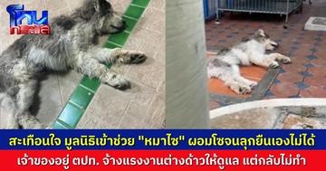 สะเทือนใจคนรักหมา! ไซบีเรียน ถูกทิ้งจนผอมโซเดินไม่ไหว เจ้าของอยู่ต่างประเทศ จ้างแรงงานต่างด้าวให้ดูแล แต่กลับไม่ทำ