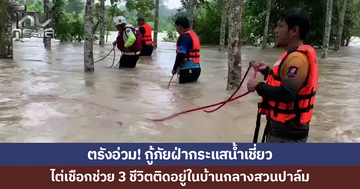 ตรังอ่วม! กู้ภัยฝ่ากระแสน้ำเชี่ยว ไต่เชือกช่วย 3 ชีวิตติดอยู่กลางสวนปาล์ม