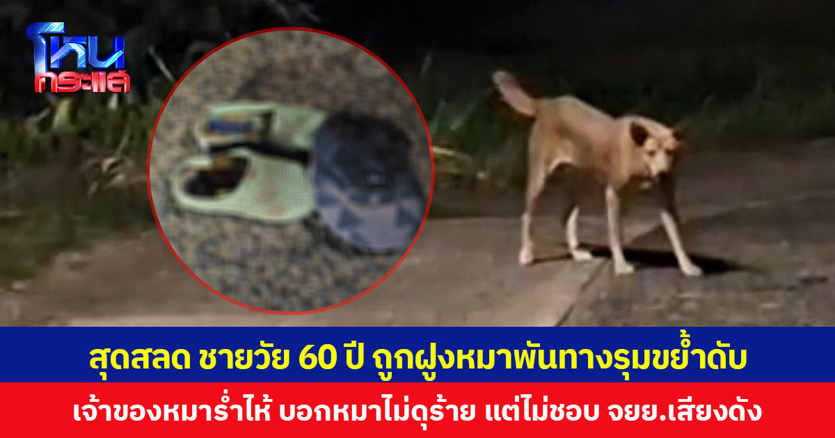 สุดสลด ชายวัย 60 ปี ถูกฝูงหมาพันทางรุมขย้ำดับ  เจ้าของหมาร่ำไห้ บอกหมาไม่ดุร้าย แต่ไม่ชอบ จยย. เสียงดัง