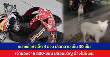 ผู้ปกครองร้อง เด็กชาย 4 ขวบ ถูกสุนัขขย้ำหัวเลือดอาบ เย็บ 30 กว่าเข็ม เจ้าของจ่ายแค่ 500 บาท พร้อมขนม เป็นค่าปลอบขวัญ อ้างไม่มีเงิน 