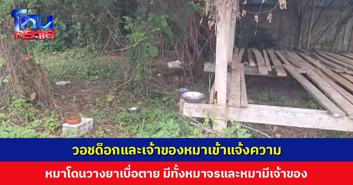 วอชด็อกและเจ้าของหมาเข้าแจ้งความ หมา 5 ตัว โดนวางยาเบื่อตาย มีทั้งหมาจรและหมามีเจ้าของ
