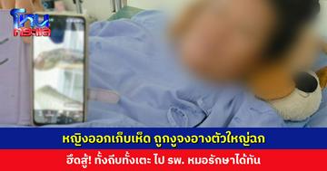 หญิงออกเก็บเห็ด ถูกงูจงอางตัวใหญ่ฉก ตัดสินใจฮึดสู้ ทั้งถีบทั้งเตะก้านคอ ไป รพ. หมอรักษาได้ทัน