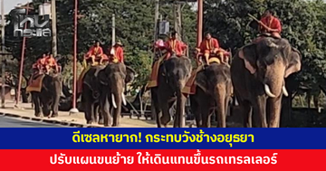ดีเซลหายาก! กระทบ 'วังช้างอยุธยา' ต้องปรับแผนขนย้าย ให้ช้างเดิน 5 กม.แทนขึ้นรถเทรลเลอร์