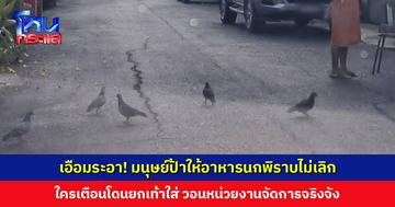 มนุษย์ป้าให้อาหารนกพิราบไม่เลิก ใครเตือนโดนยกเท้าใส่ เจ้าตัวยังปากแข็ง บอกเลิกแล้ว ที่ยกเท้าเพราะออกกำลังกาย