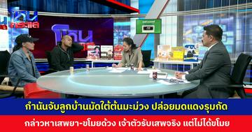 กำนันจับลูกบ้านมัดใต้ต้นมะม่วง ปล่อยมดแดงรุมกัด กล่าวหาเสพยา-ขโมยด้วง เจ้าตัวรับเสพจริง แต่ไม่ได้ขโมย