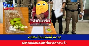 คดีสะเทือนต่อมน้ำลาย! คนร้ายลักตะลิงปลิงในเวลากลางคืน