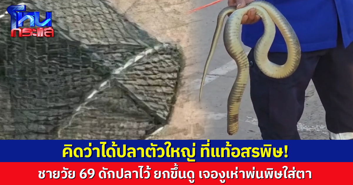 ชายวัย 69 ดักปลาไว้ คิดว่าได้ปลาตัวใหญ่ ที่แท้เป็น 'งูเห่า' พ่นพิษพุ่งเข้าตา บาดเจ็บ