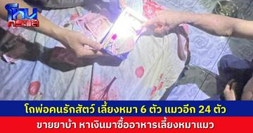 จนท.บุกรวบ พ่อค้ายาบ้าในพื้นที่สระแก้ว ผู้ต้องหาอ้าง รักสัตว์จนต้องจำใจทำผิด ขายยาบ้า หาเงินเลี้ยงหมาแมวกว่า 30 ตัว