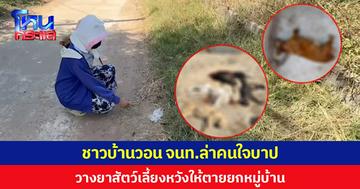 ชาวบ้านวอน จนท.ล่าคนใจบาป วางยาสัตว์เลี้ยง หวังให้ตายยกหมู่บ้าน