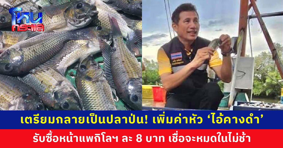 เพิ่มค่าตัว ‘ปลาหมอคางดำ’ รับซื้อหน้าแพกิโลฯ ละ 8 บาท พร้อมเปิดแคมเปญ “เจอ แจ้ง จับ จบ” เชื่อมือคนไทย จะหมดในไม่ช้า