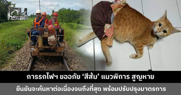การรถไฟฯ เร่งปูพรมค้นหา ‘สีส้ม’ แมวพิการ ขออภัยต่อเหตุการณ์ที่เกิดขึ้น ยืนยันจะค้นหาจนถึงที่สุด
