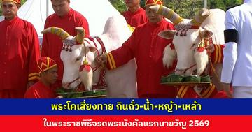 เปิดคำทำนาย พระโคเสี่ยงทาย กินถั่ว-น้ำ-หญ้า-เหล้า ในพระราชพิธีจรดพระนังคัลแรกนาขวัญ 2569
