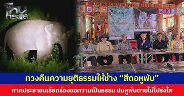 ทวงคืนความยุติธรรมให้ช้าง “สีดอหูพับ”  ภาคประชาชนเรียกร้องขอความเป็นธรรม ปมหูพับตายไม่โปร่งใส
