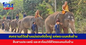 สงกรานต์วัดช้างแม่แตงจัดใหญ่ แห่พระบนหลังช้าง-สรงน้ำพระรับสิริมงคล