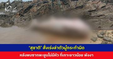 ‘สุชาติ’ สั่งเร่งล่าตัวผู้กระทำผิด หลังพบซากพะยูนไม่มีหัว หางถูกเชือกผูกกับหิน