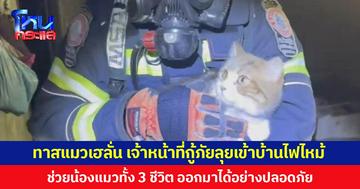 ทาสแมวเฮลั่น เจ้าหน้าที่กู้ภัยลุยเข้าบ้านไฟไหม้  ช่วยน้องแมวทั้ง 3 ชีวิต ออกมาได้อย่างปลอดภัย