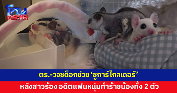 เปิดภารกิจช่วย 'ชูการ์ไกลเดอร์' หลังสาวญี่ปุ่นร้อง อดีตแฟนหนุ่มทำร้ายน้องทั้ง 2 ตัว 