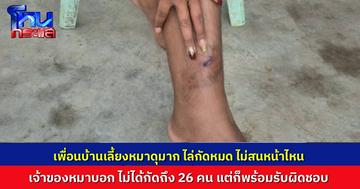 ชาวบ้านผวาหมาที่เพื่อนบ้านเลี้ยงไว้ วิ่งไล่ตามกัดหลายครั้ง เจ้าของหมายอมรับ หมาดุจริง แต่ไม่ได้กัดคนถึง 26 คนอย่างที่ว่ากัน พร้อมรับผิดชอบทุกกรณี