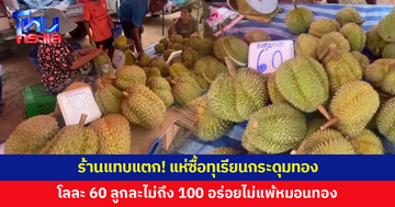 ร้านแทบแตก! แห่ซื้อทุเรียนกระดุมทองโลละ 60 ลูกละไม่ถึง 100 กรอบ หอม มันไม่แพ้หมอนทอง