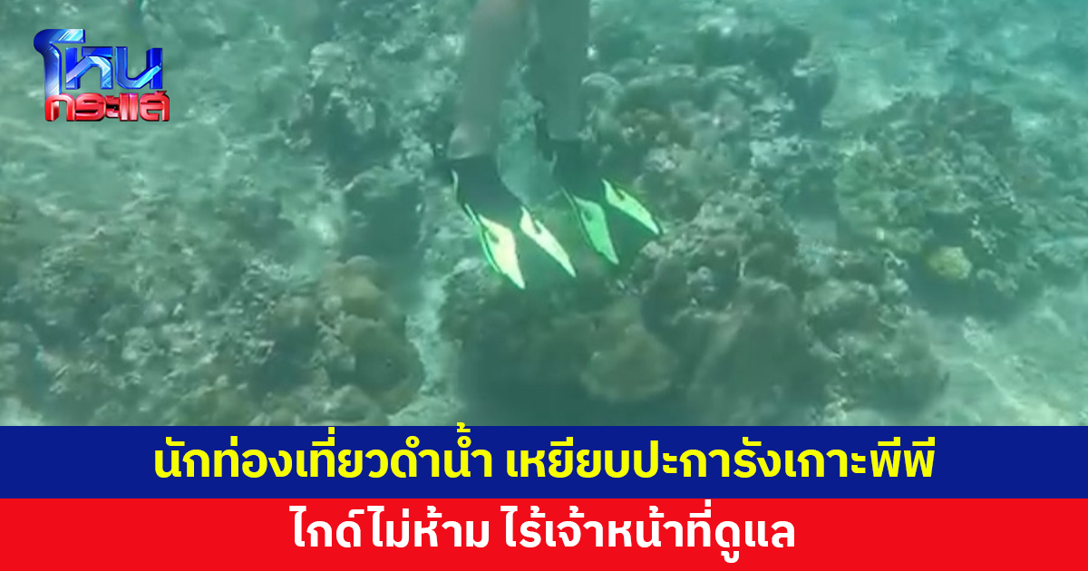 ไร้จิตสำนึก! นักท่องเที่ยวดำน้ำ เหยียบปะการังที่เกาะพีพี