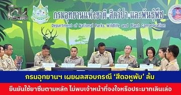 กรมอุทยานฯ เผยผลสอบกรณี ‘สีดอหูพับ’ ล้ม ไม่พบเจ้าหน้าที่จงใจหรือประมาท