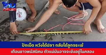หนุ่มโรงงานที่พนัสนิคม ปักเบ็ดหวังได้ปลา แต่กลับได้ลูกจระเข้ ยาวเกือบเมตร เตือนประชาชน ไม่รู้ว่ามีแม่มันอยู่ในคลองหรือไม่