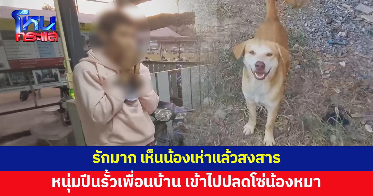 หนุ่มเอาบันไดปีนรั้วเพื่อนบ้าน เข้าไปปลดโซ่น้องหมา อ้างรักมาก เห็นน้องเห่าแล้วสงสาร
