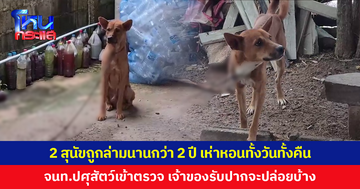 ชาวบ้านสงสาร สุนัข 2 ตัวถูกล่ามโซ่นานกว่า 2 ปี เห่าหอนทั้งวันทั้งคืน