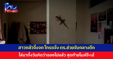 สุดเอ็นดู! สาวกลัวจิ้งจก ไล่มาทั้งวันคิดว่าออกไปแล้ว ต้องโทรแจ้งตำรวจช่วยจับกลางดึก