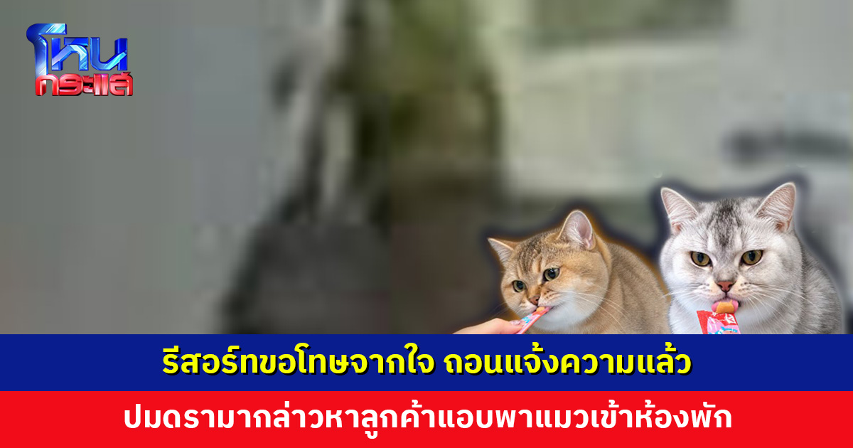 รีสอร์ทถอนแจ้งความแล้ว ปมดรามากล่าวหาลูกค้าแอบพาแมวเข้าห้องพัก